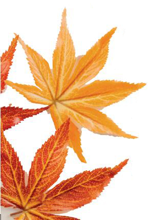 hahabet|哈哈体育星辰大海官方网站-梦想从这里