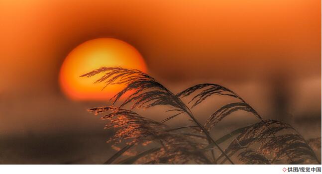 hahabet|哈哈体育星辰大海官方网站-梦想从这里