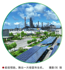 hahabet|哈哈体育星辰大海官方网站-梦想从这里