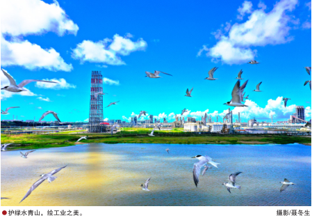 hahabet|哈哈体育星辰大海官方网站-梦想从这里