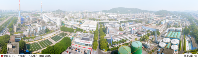hahabet|哈哈体育星辰大海官方网站-梦想从这里