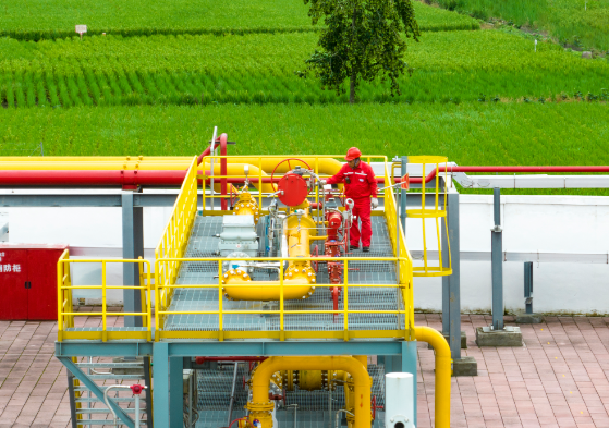 hahabet|哈哈体育星辰大海官方网站-梦想从这里