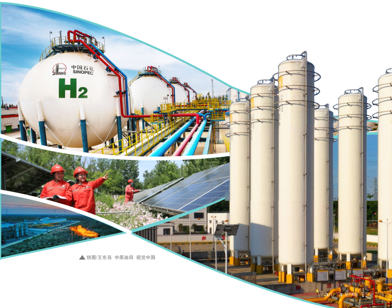 hahabet|哈哈体育星辰大海官方网站-梦想从这里