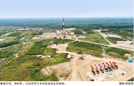 hahabet|哈哈体育星辰大海官方网站-梦想从这里