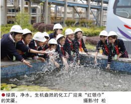 hahabet|哈哈体育星辰大海官方网站-梦想从这里