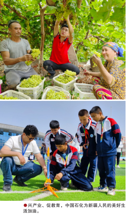 hahabet|哈哈体育星辰大海官方网站-梦想从这里