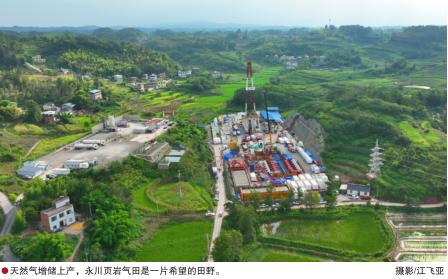 hahabet|哈哈体育星辰大海官方网站-梦想从这里