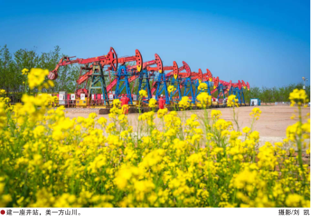 hahabet|哈哈体育星辰大海官方网站-梦想从这里