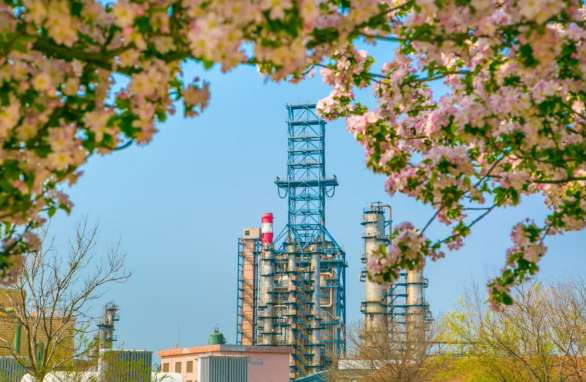 hahabet|哈哈体育星辰大海官方网站-梦想从这里