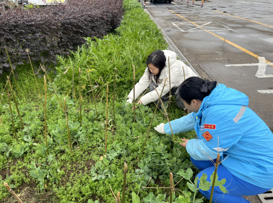 hahabet|哈哈体育星辰大海官方网站-梦想从这里