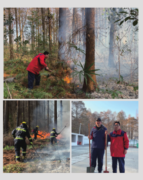 hahabet|哈哈体育星辰大海官方网站-梦想从这里