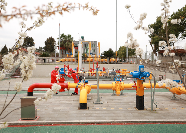 hahabet|哈哈体育星辰大海官方网站-梦想从这里