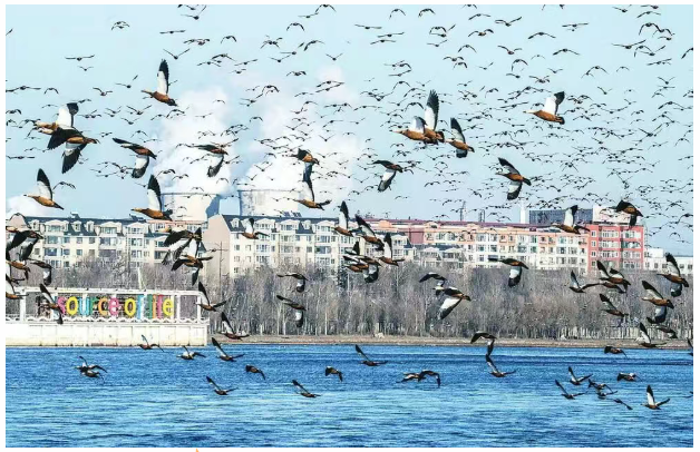 hahabet|哈哈体育星辰大海官方网站-梦想从这里