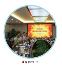 hahabet|哈哈体育星辰大海官方网站-梦想从这里