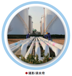 hahabet|哈哈体育星辰大海官方网站-梦想从这里