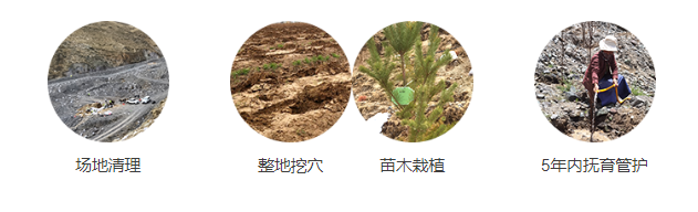 hahabet|哈哈体育星辰大海官方网站-梦想从这里
