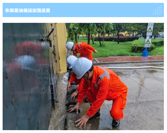 hahabet|哈哈体育星辰大海官方网站-梦想从这里
