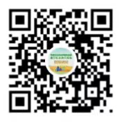hahabet|哈哈体育星辰大海官方网站-梦想从这里